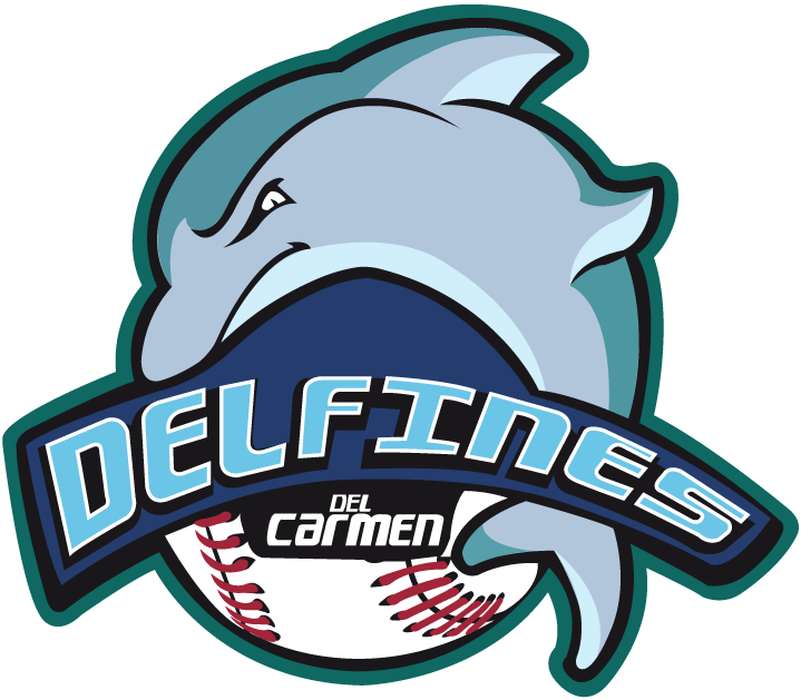 Carmen Delfines primary logo 2012-pres iron on transfers for T-shirts